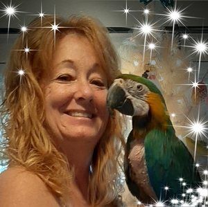 Meet your Posher, Gale